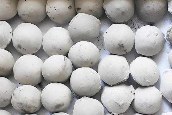 Presse à briquettes à sec haute pression