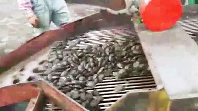 Presse à briquettes en scories