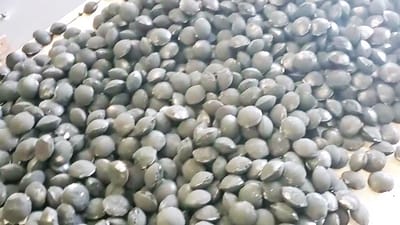 Presse à briquettes en charbon pulvérisé