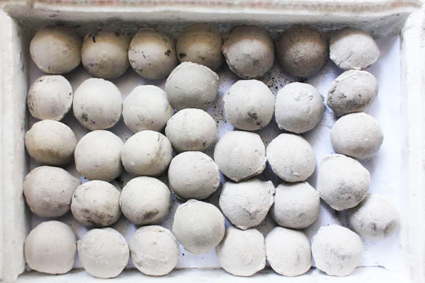 Presse à briquettes à sec haute pression